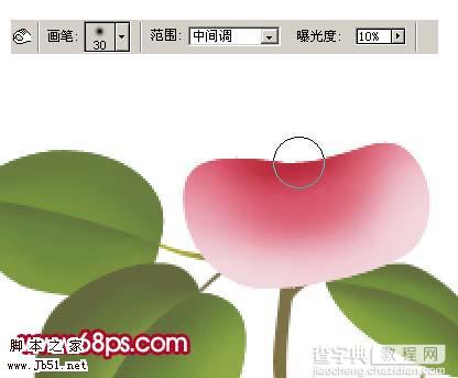 Photoshop 一朵粉红色的卡通玫瑰花13