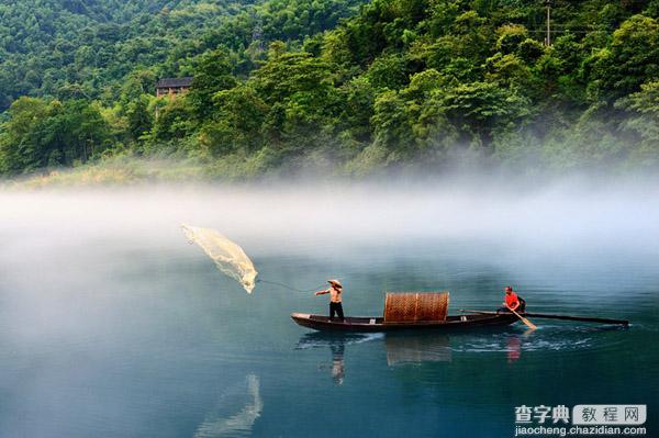 Photoshop制作雨中野外孤独行走的一头牛海报19