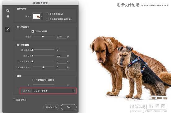 必学:Photoshop原生自带的10个抠图技巧28