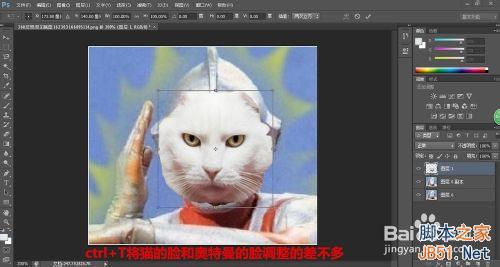 photoshop把可爱的动物变成奥特曼教程4