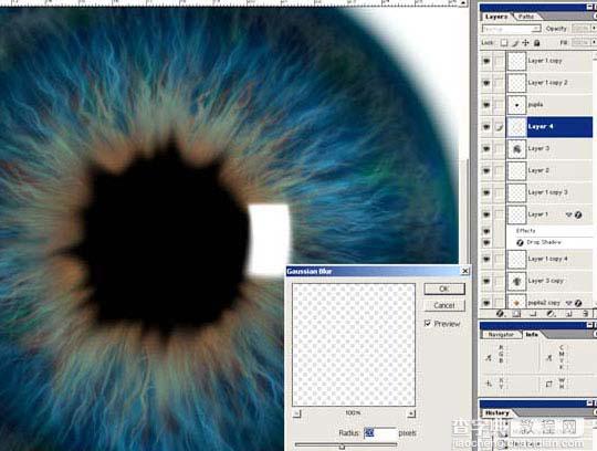 photoshop 滤镜制作瞳孔放大图19