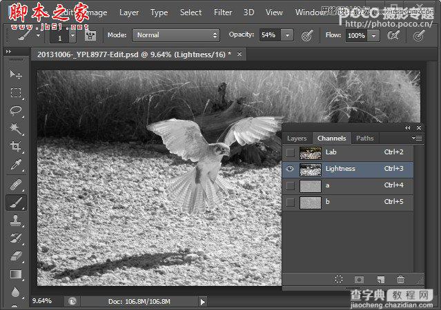 PhotoShop(PS)浅谈LAB模式下明度通道锐化方法实例教程介绍7