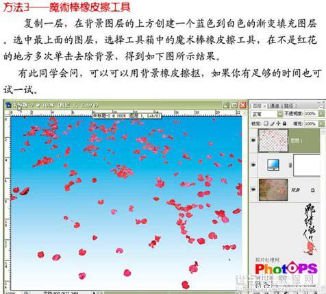 ps大师详细讲解红花抠图教程9