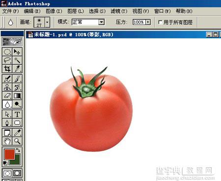 PHOTOSHOP鼠绘出逼真蕃茄教程15