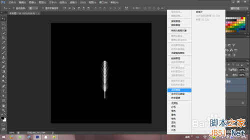 Photoshop简单制作漂亮的羽毛19