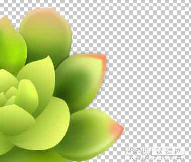 Photoshop设计很Q萌的多肉植物拟物化ICON21