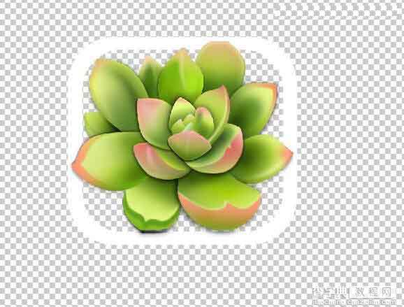 Photoshop设计很Q萌的多肉植物拟物化ICON23