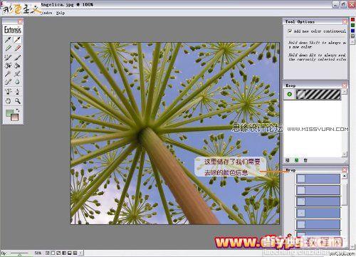 Photoshop抠图教程：插件Mask pro 4.11抠图使用介绍（图文）10