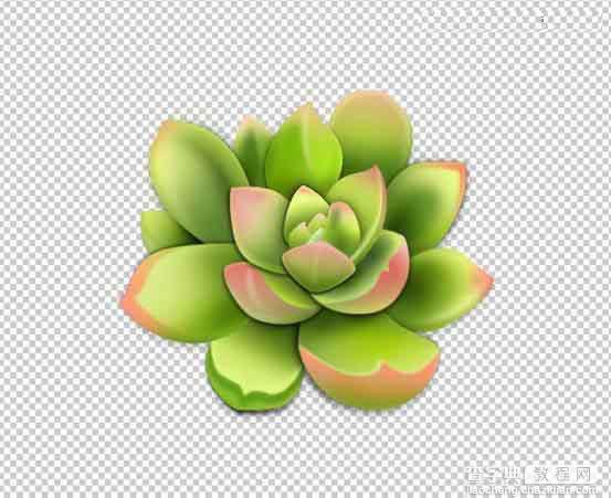 Photoshop设计很Q萌的多肉植物拟物化ICON22