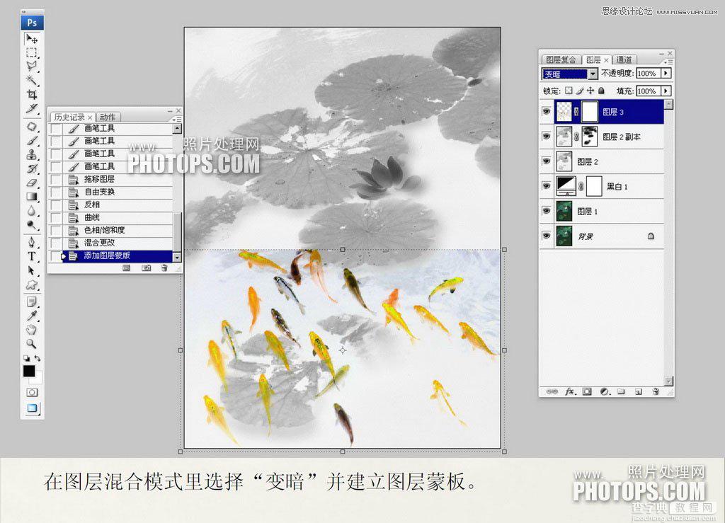 教你用Photoshop把废弃的荷花图制作戏鱼图封面14