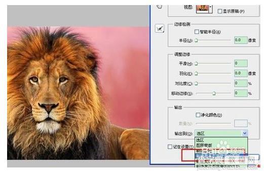 ps cs5抽出滤镜在哪? ps抽出滤镜的使用教程6