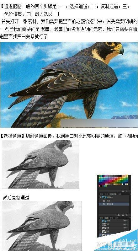 修图必备:3种实用photoshop抠图+实例讲解7