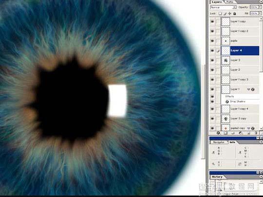 photoshop 滤镜制作瞳孔放大图20