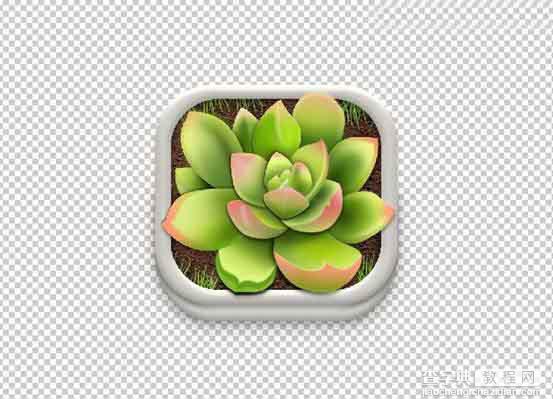 Photoshop设计很Q萌的多肉植物拟物化ICON30