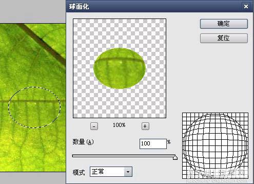 Photoshop打造绿叶上的漂亮的水珠6