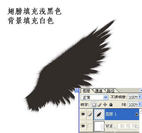 Photoshop打造个性的黑色翅膀13