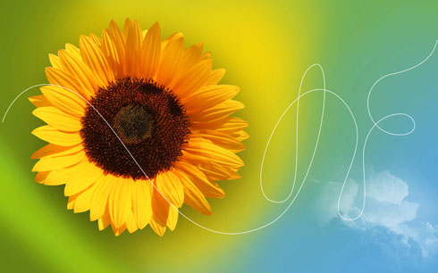 Photoshop打造简洁可爱的花朵壁纸16
