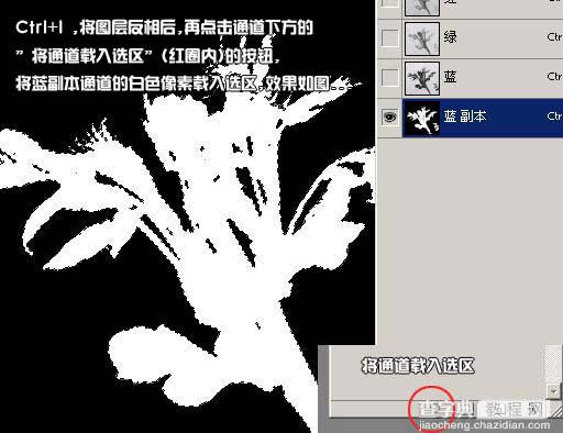 Photoshop通道抠图花卉照片教程7