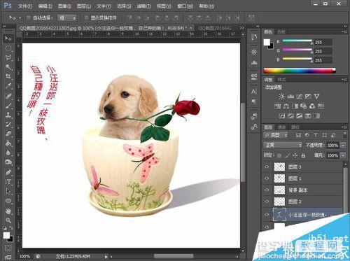 PS制作在花盆里的叼着玫瑰花小狗效果图15