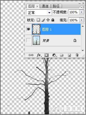 Photoshop 计算命令抠图4