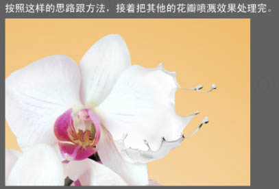 Photoshop快速给花朵加上喷溅牛奶教程18