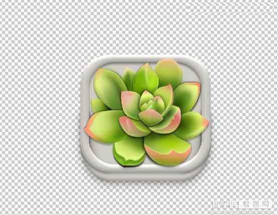 Photoshop设计很Q萌的多肉植物拟物化ICON27