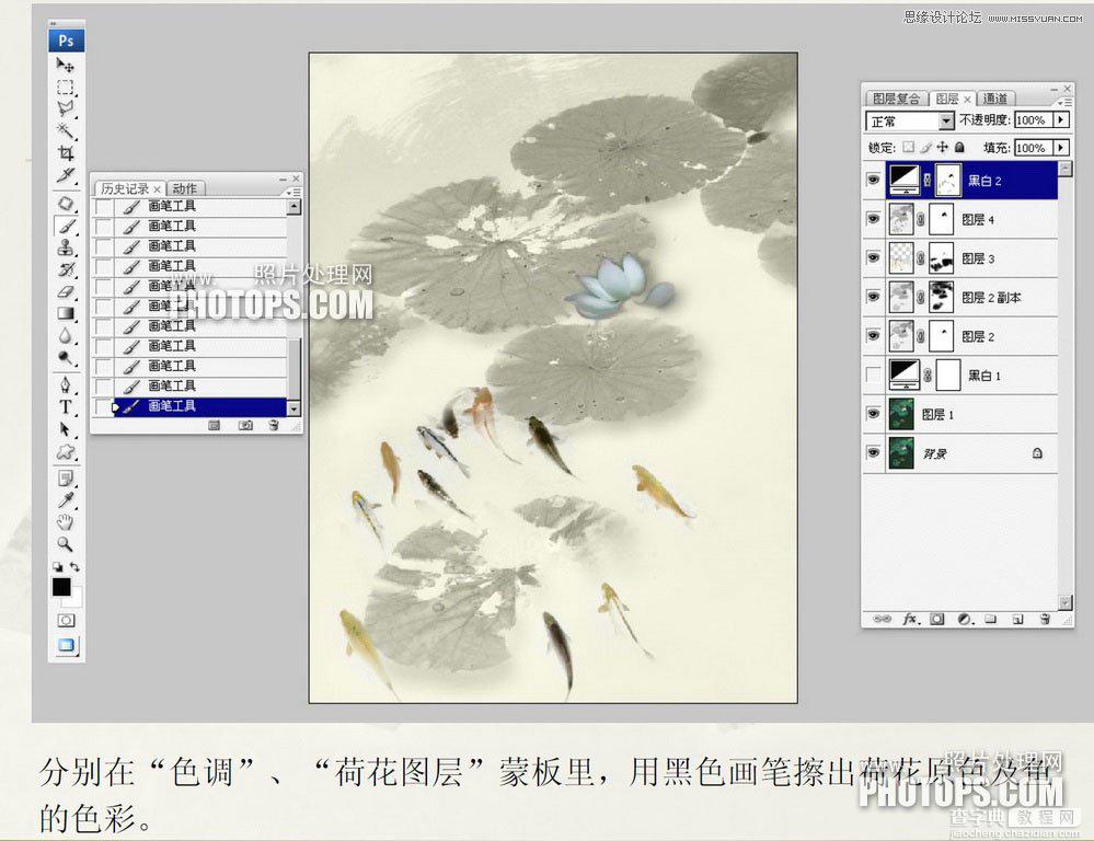 教你用Photoshop把废弃的荷花图制作戏鱼图封面12
