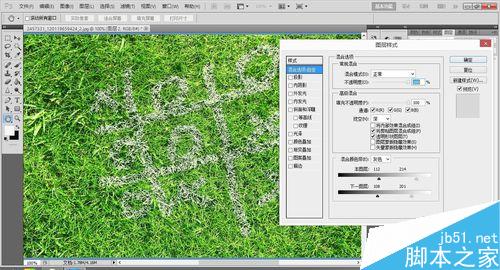 ps制作一张草坪上写字的效果图6