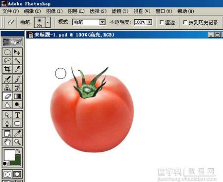 PHOTOSHOP鼠绘出逼真蕃茄教程13