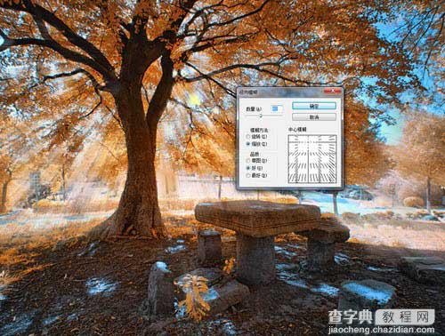以大树照片为实例 利用PS滤镜制作太阳光效果5
