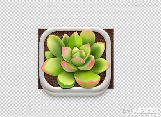 Photoshop设计很Q萌的多肉植物拟物化ICON28