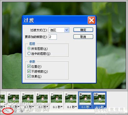 Photoshop CS3教程：蜻蜓落荷花动画27