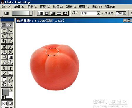 PHOTOSHOP鼠绘出逼真蕃茄教程9