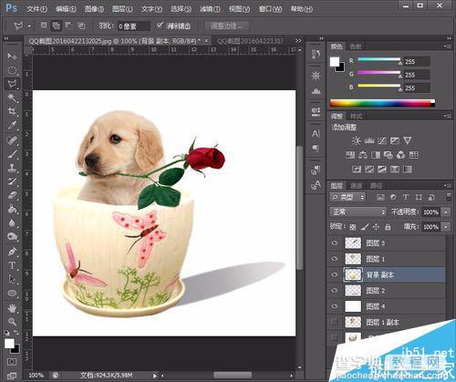 PS制作在花盆里的叼着玫瑰花小狗效果图14