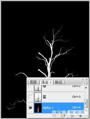 Photoshop 计算命令抠图3