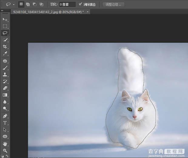 PS利用快速蒙版及调整边缘快速抠出雪地中的白猫5