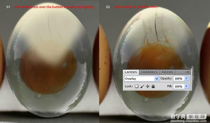 photoshop合成制作出一个半透明的鸡蛋15