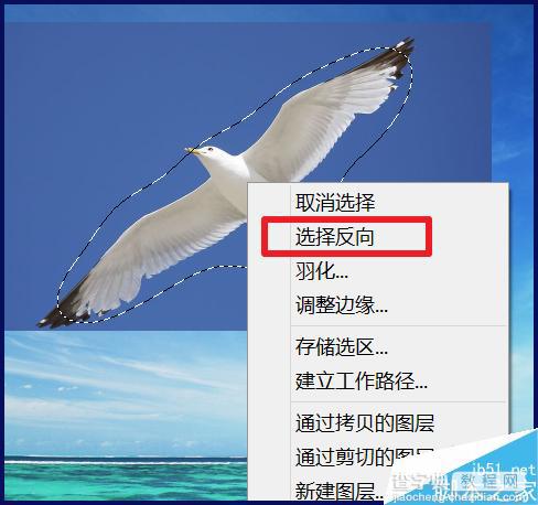 ps怎么把图片融入背景?PS两种方法简单抠图11