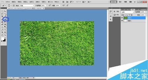 ps制作一张草坪上写字的效果图3