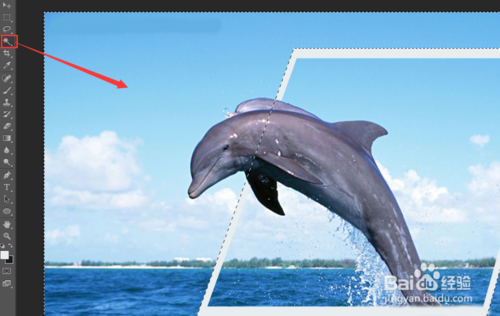 PS制作有海豚从水中跃出的效果10