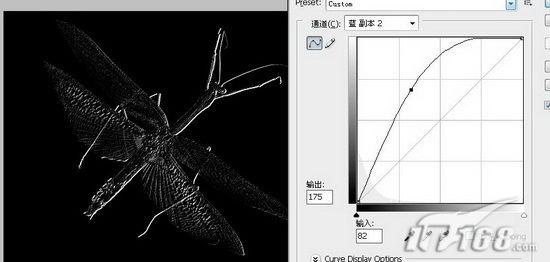 photoshop 制作逼真的古生物化石标本18