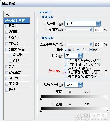 Photoshop 漂亮的野生动物主题海报27