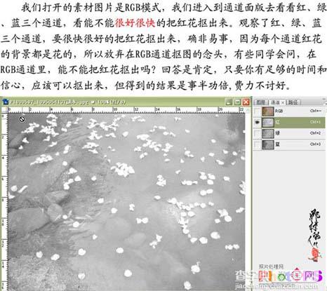 Photoshop水里的红花抠图处理教程4