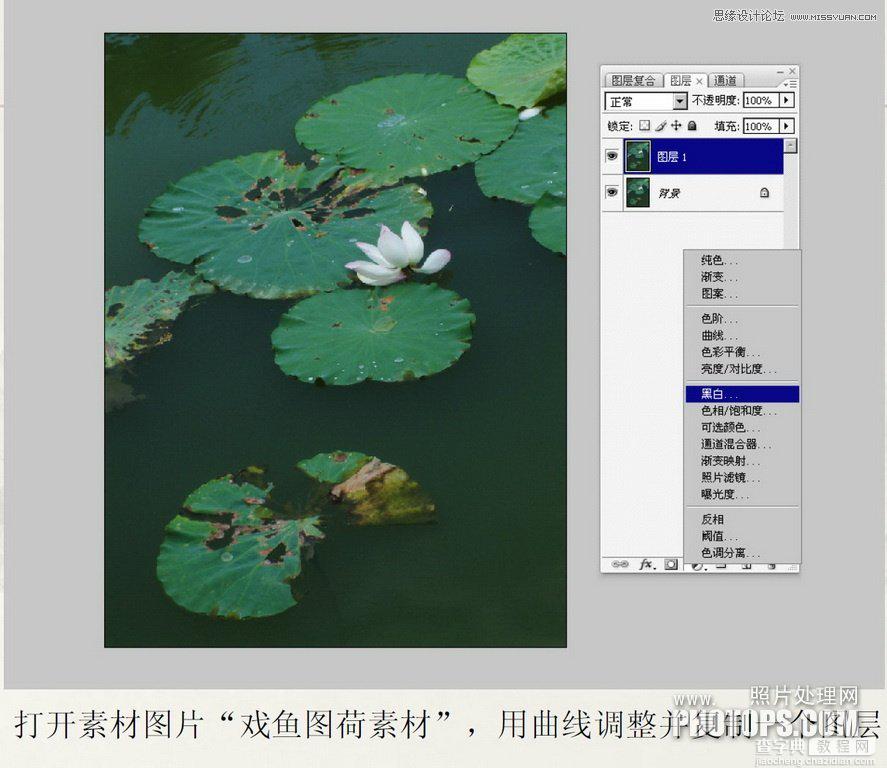 教你用Photoshop把废弃的荷花图制作戏鱼图封面4