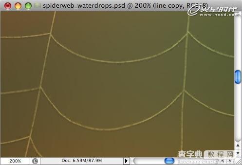 Photoshop打造挂满露珠的蜘蛛网8