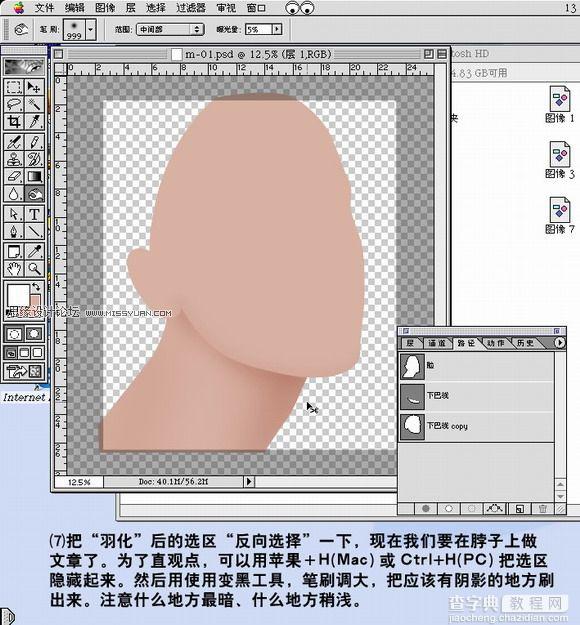 PhotoShop 鼠绘带面具的银发美女过程8