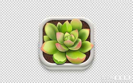 Photoshop设计很Q萌的多肉植物拟物化ICON29