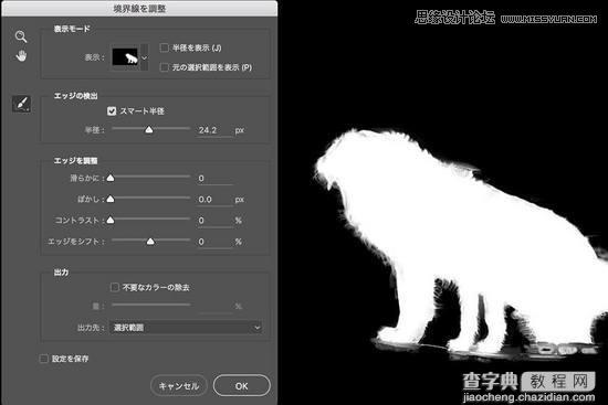 必学:Photoshop原生自带的10个抠图技巧27