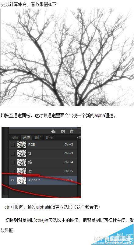 修图必备:3种实用photoshop抠图+实例讲解2