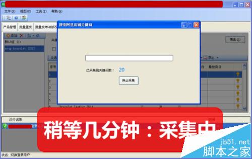 阿里巴巴国际站关键词一键采集分析详解20